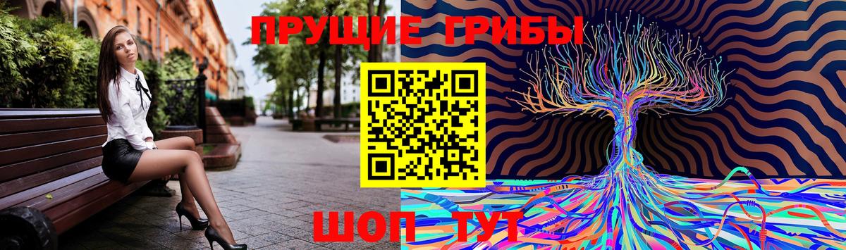Псилоцибиновые грибы MAGIC MUSHROOMS Советск